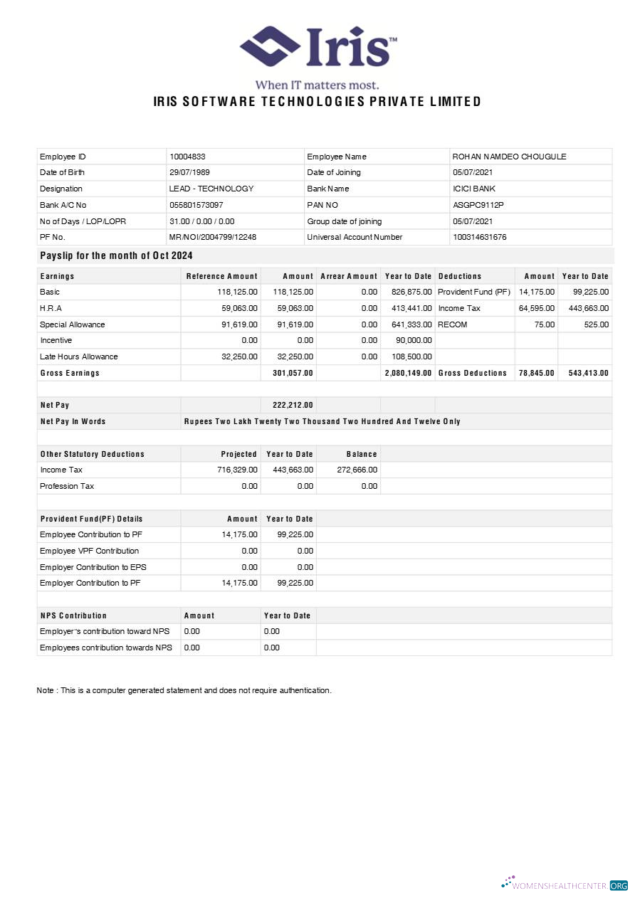 Download Iris Software Technologies payslip template in Word and PDF formats.pdf, 1 Photoshop template